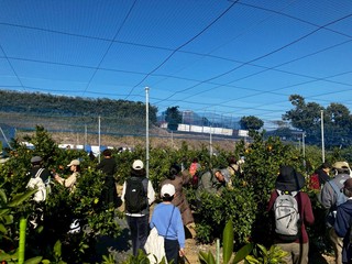 LINE_ALBUM_20251130 ��O�n��݂�����ƃn�C�L���O�̏W��_251207_3.jpg